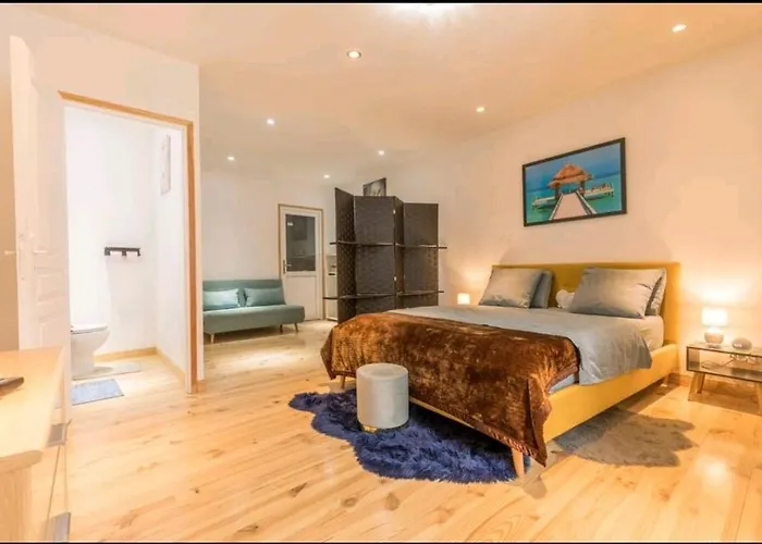 Superbe Grande Maison De Ville! Hébergement de vacances Solomiac